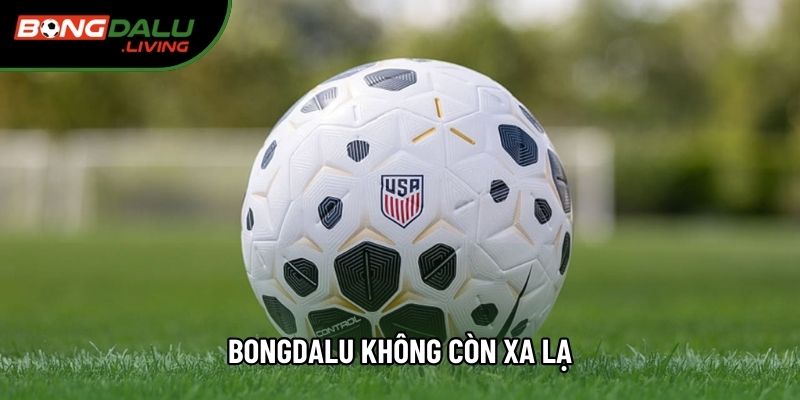 Bongdalu không còn xa lạ Bongdalu không còn xa lạ